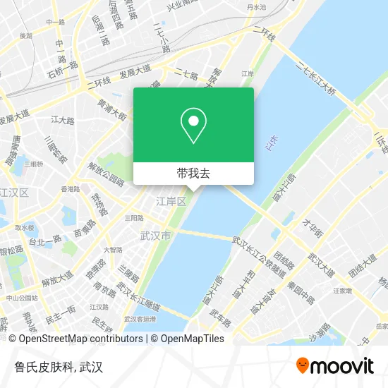鲁氏皮肤科地图