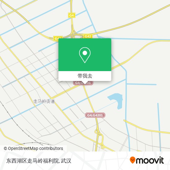 东西湖区走马岭福利院地图