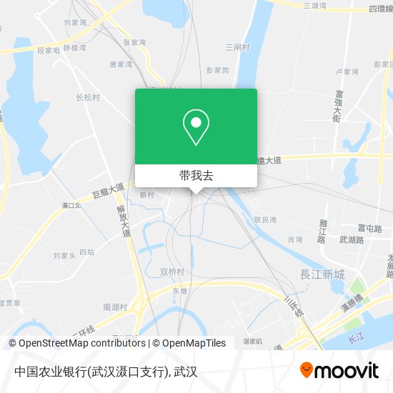 中国农业银行(武汉滠口支行)地图