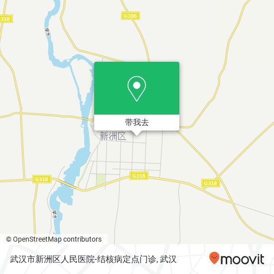 武汉市新洲区人民医院-结核病定点门诊地图