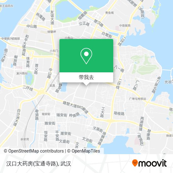 汉口大药房(宝通寺路)地图