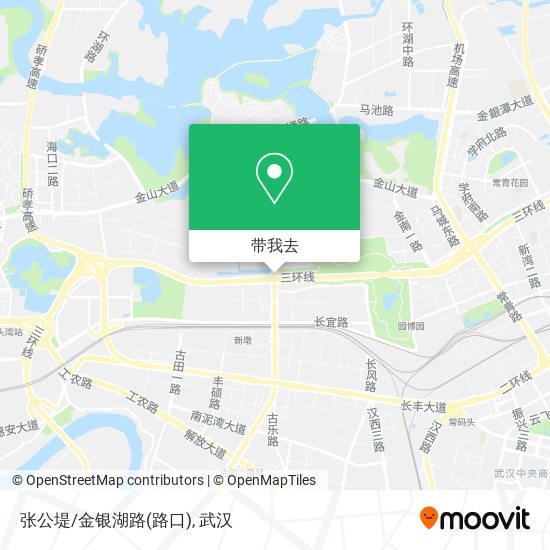 张公堤/金银湖路(路口)地图