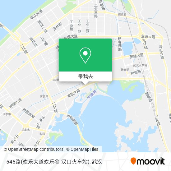 545路(欢乐大道欢乐谷-汉口火车站)地图