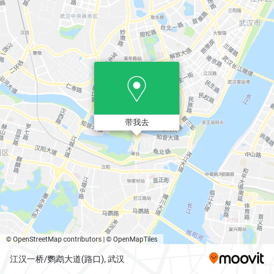 江汉一桥/鹦鹉大道(路口)地图