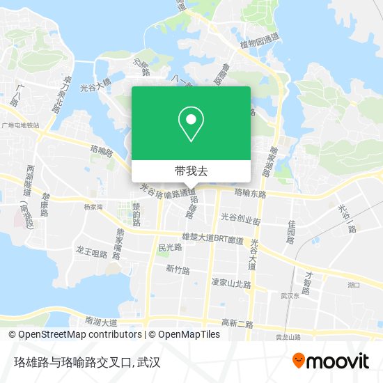 珞雄路与珞喻路交叉口地图