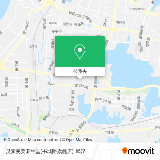 灵素完美养生堂(书城路旗舰店)地图