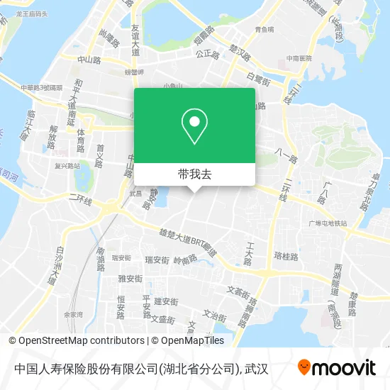 中国人寿保险股份有限公司(湖北省分公司)地图