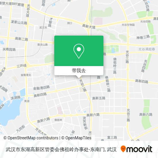 武汉市东湖高新区管委会佛祖岭办事处-东南门地图