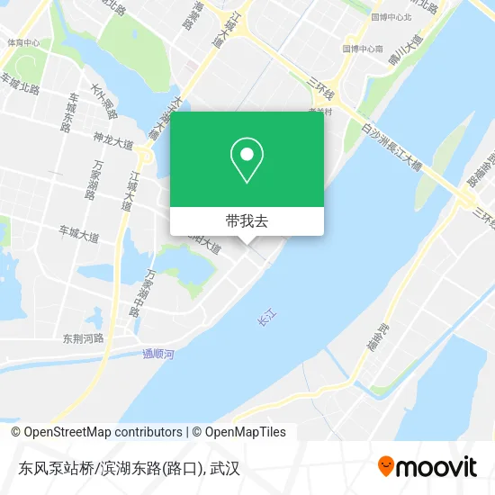 东风泵站桥/滨湖东路(路口)地图