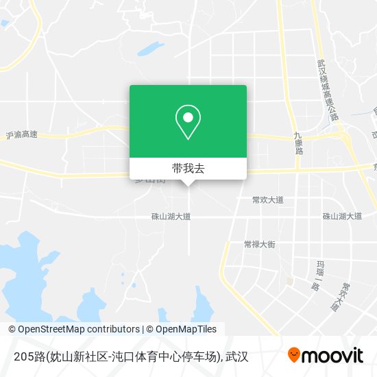 205路(妉山新社区-沌口体育中心停车场)地图