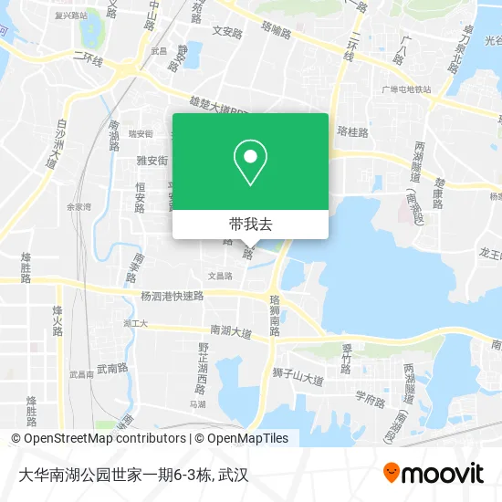 大华南湖公园世家一期6-3栋地图