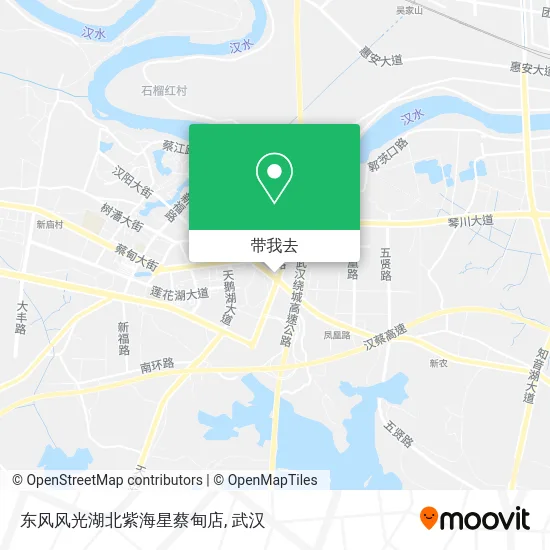 东风风光湖北紫海星蔡甸店地图
