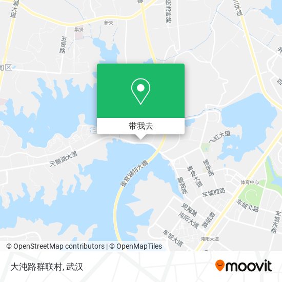 大沌路群联村地图