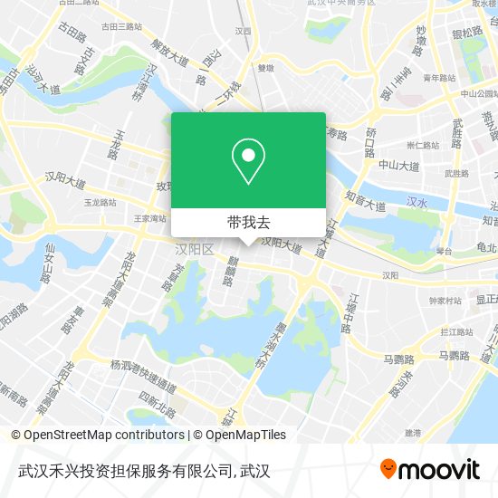 武汉禾兴投资担保服务有限公司地图
