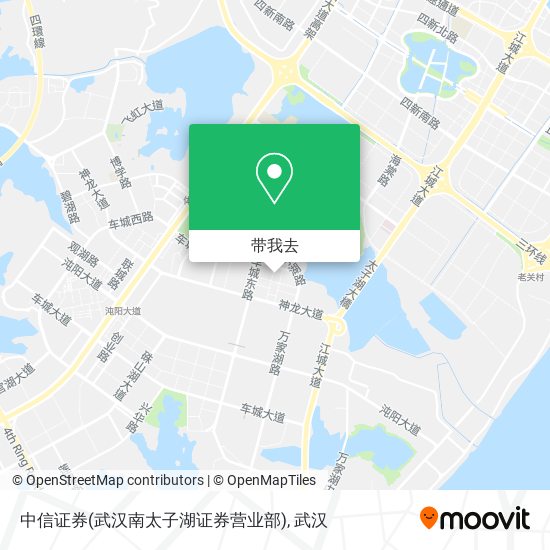 中信证券(武汉南太子湖证券营业部)地图