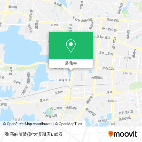 张亮麻辣烫(财大滨湖店)地图