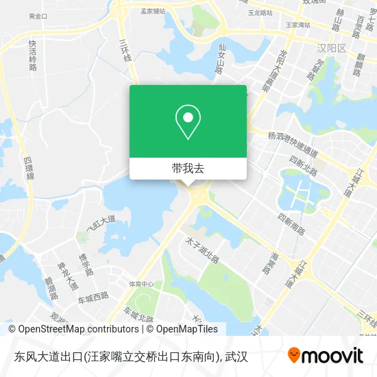 东风大道出口(汪家嘴立交桥出口东南向)地图