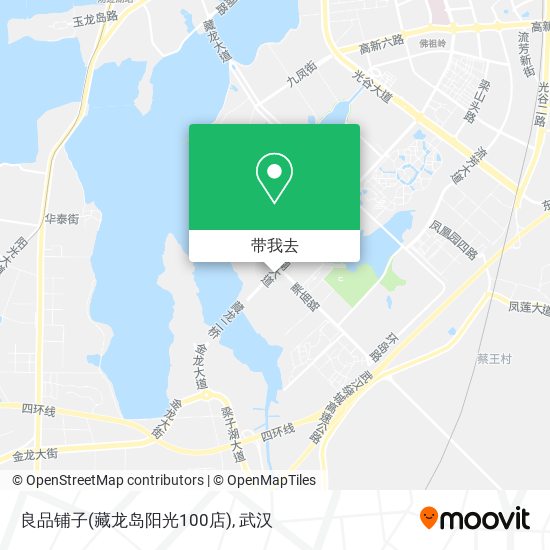 良品铺子(藏龙岛阳光100店)地图