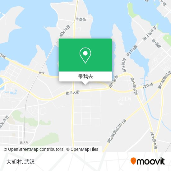 大胡村地图