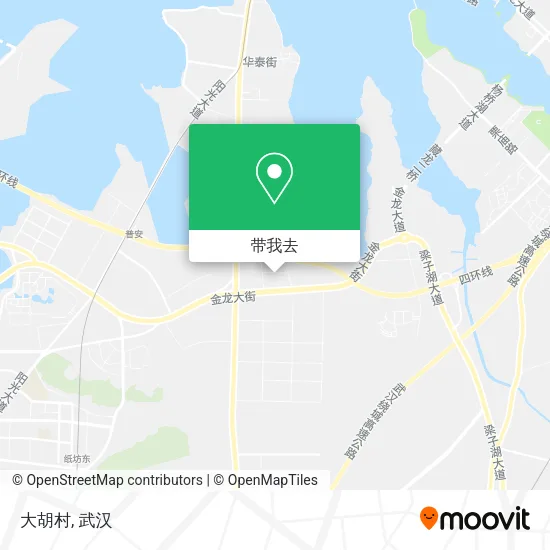 大胡村地图