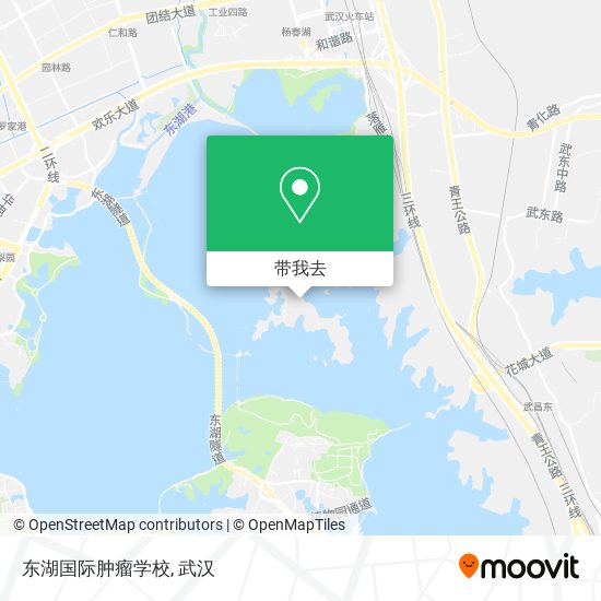 东湖国际肿瘤学校地图