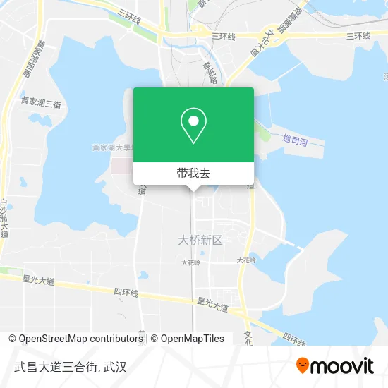武昌大道三合街地图