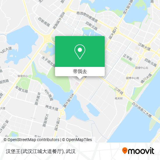 汉堡王(武汉江城大道餐厅)地图