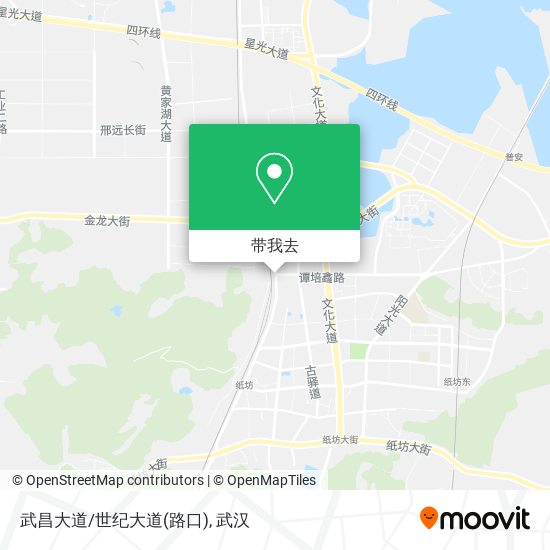 武昌大道/世纪大道(路口)地图