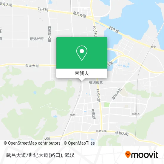 武昌大道/世纪大道(路口)地图
