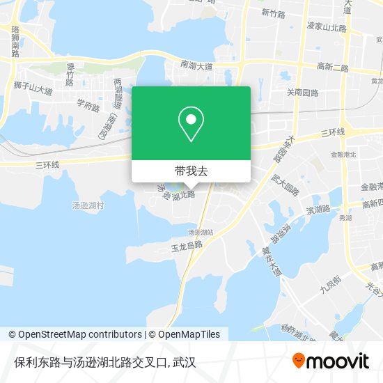 保利东路与汤逊湖北路交叉口地图