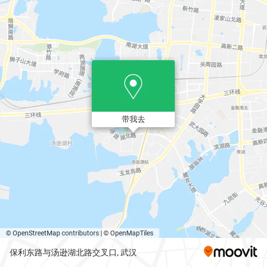 保利东路与汤逊湖北路交叉口地图