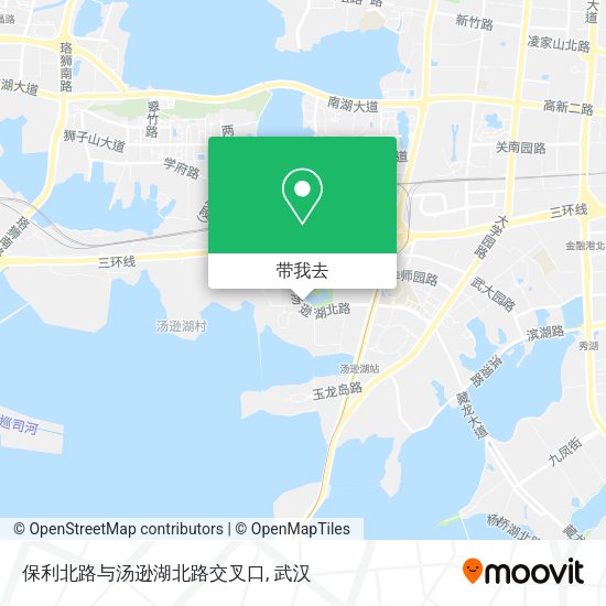 保利北路与汤逊湖北路交叉口地图
