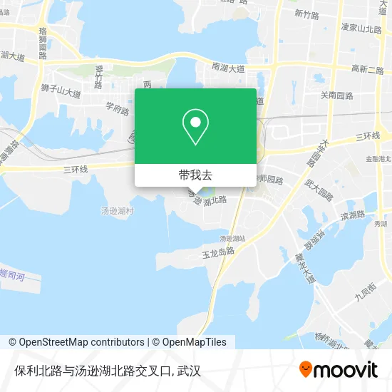 保利北路与汤逊湖北路交叉口地图