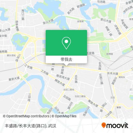 丰盛路/长丰大道(路口)地图