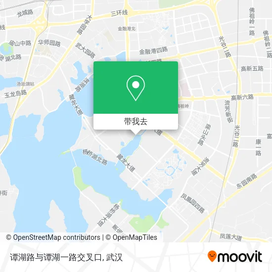 谭湖路与谭湖一路交叉口地图