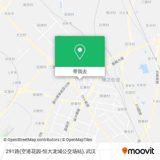 291路(空港花园-恒大龙城公交场站)地图
