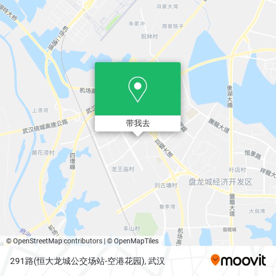 291路(恒大龙城公交场站-空港花园)地图