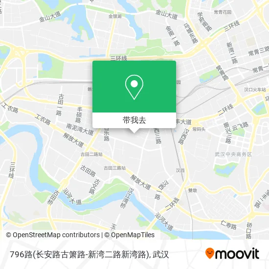 796路(长安路古箫路-新湾二路新湾路)地图