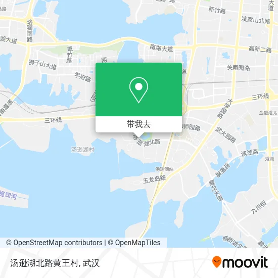 汤逊湖北路黄王村地图