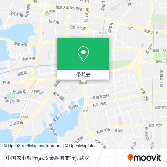 中国农业银行(武汉金融港支行)地图