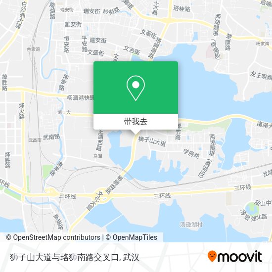 狮子山大道与珞狮南路交叉口地图