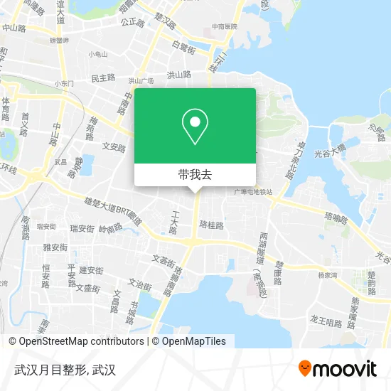 武汉月目整形地图