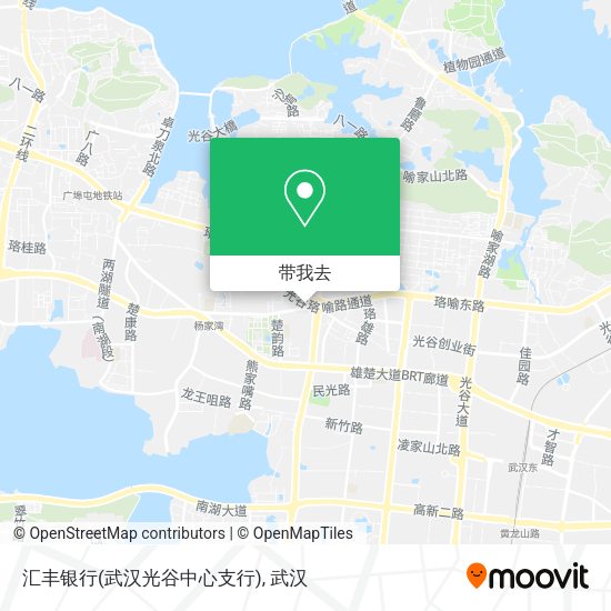 汇丰银行(武汉光谷中心支行)地图