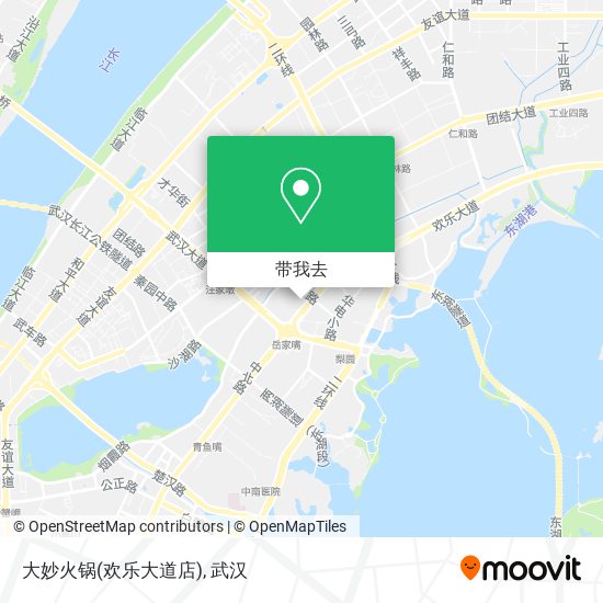 大妙火锅(欢乐大道店)地图