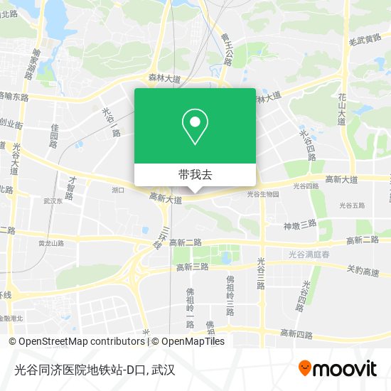 光谷同济医院地铁站-D口地图