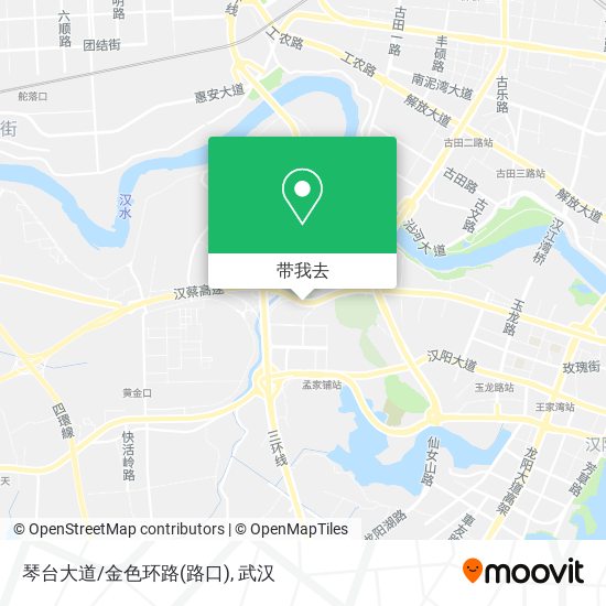 琴台大道/金色环路(路口)地图