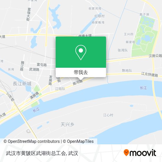 武汉市黄陂区武湖街总工会地图