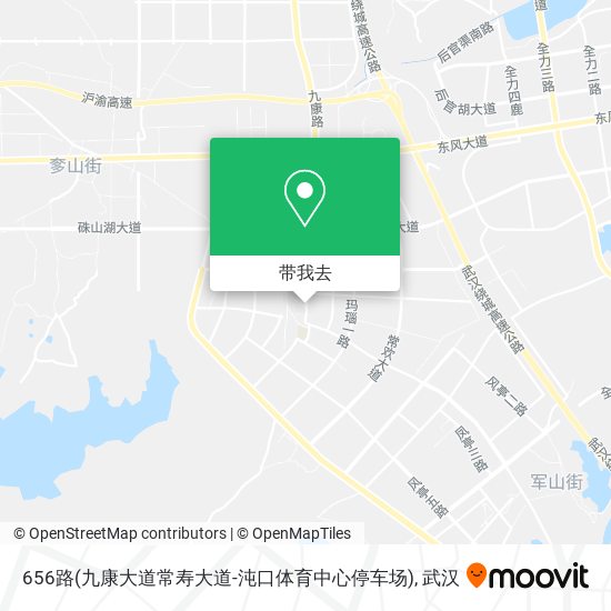 656路(九康大道常寿大道-沌口体育中心停车场)地图