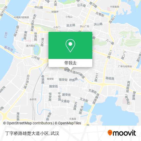 丁字桥路雄楚大道小区地图