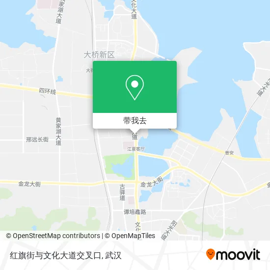 红旗街与文化大道交叉口地图